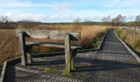 Tregaron Bog